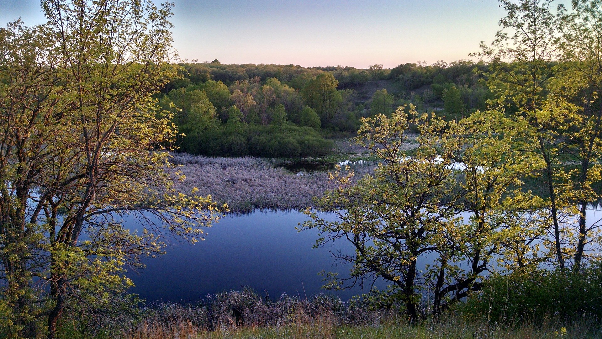 Evening light on the Sheyenne oak-savanna edge