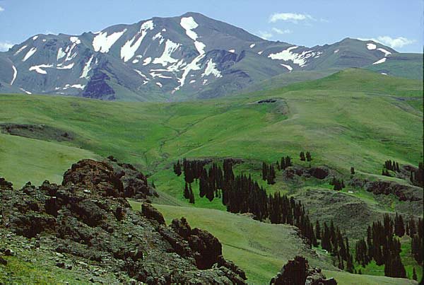 Shoshone National Forest, Wyoming