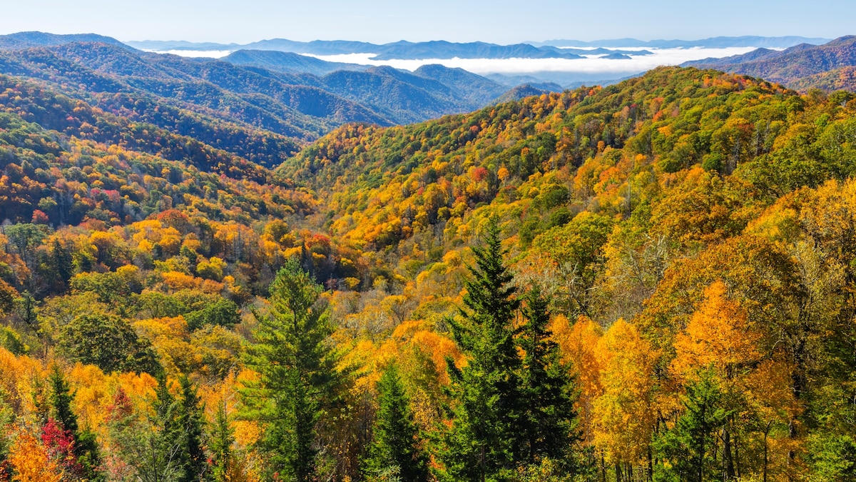 Great Smoky Mountains, Tennessee / North Carolina