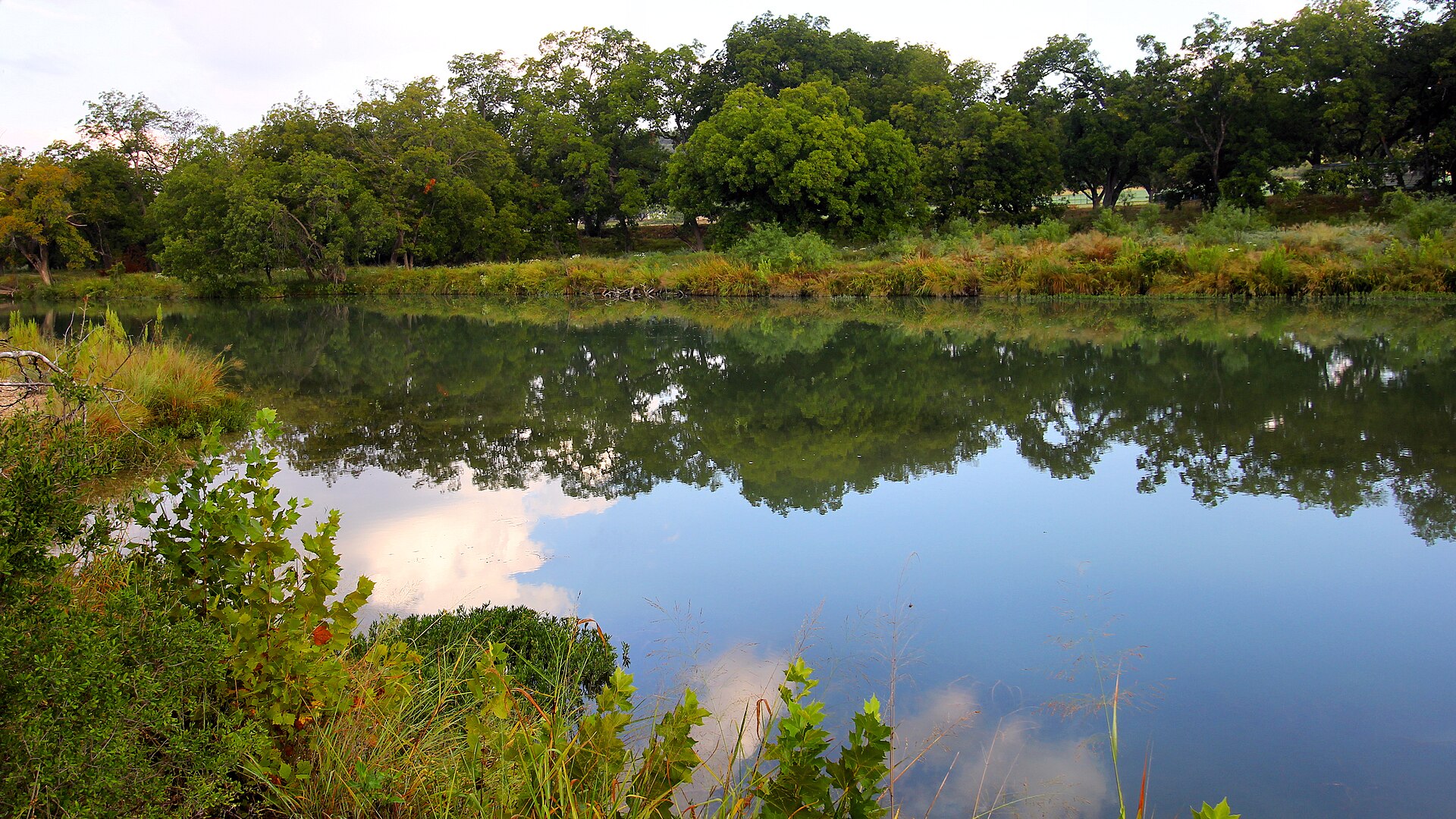 Pecan shade and a still reach of the South Llano