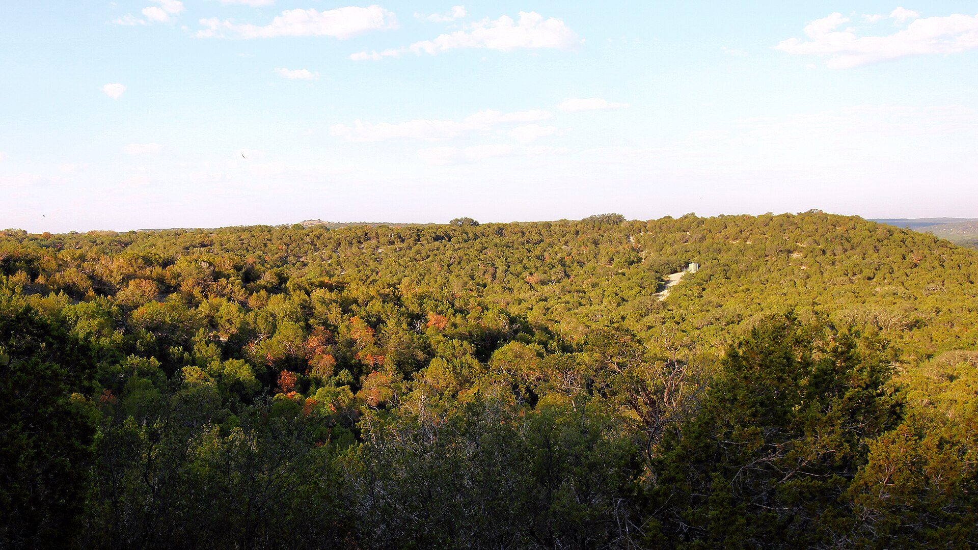 October color from the South Llano overlook