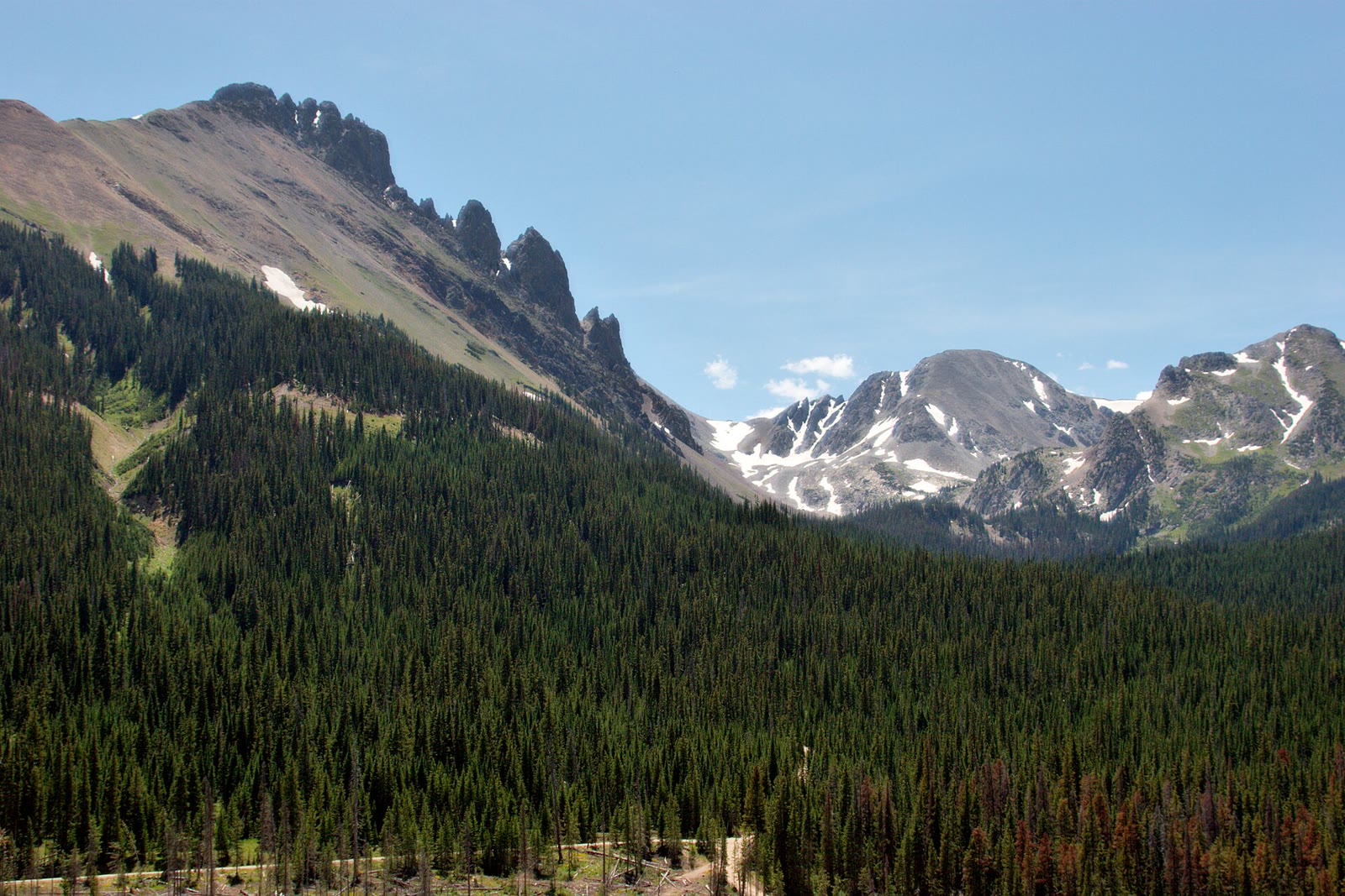 Nokhu Crags over a Never Summer spruce forest