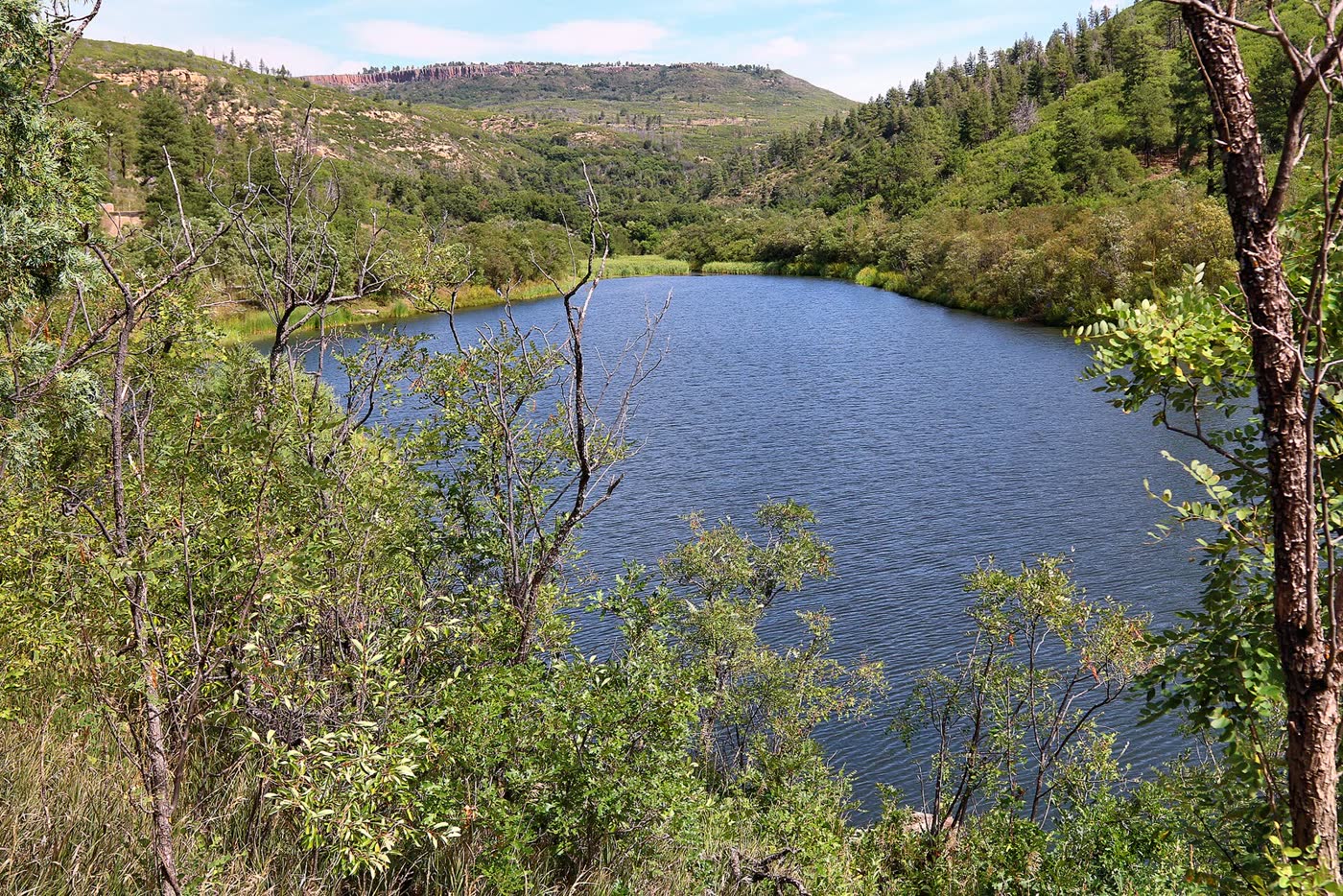 Lake Alice under the Sugarite canyon rim