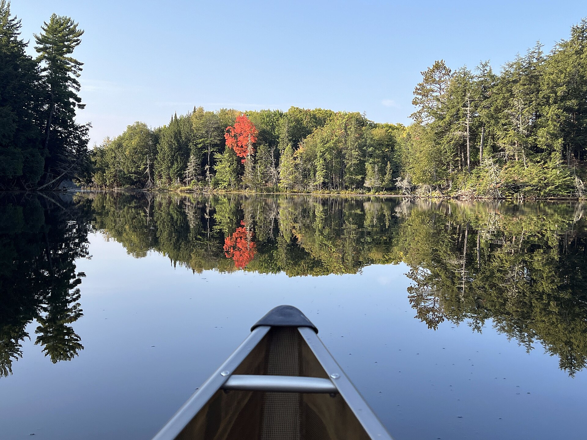 Fall maple on Crooked Lake, Sylvania Wilderness
