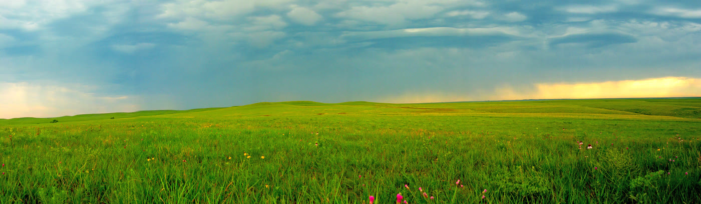 June rain on the prairie, Tallgrass Prairie National Preserve