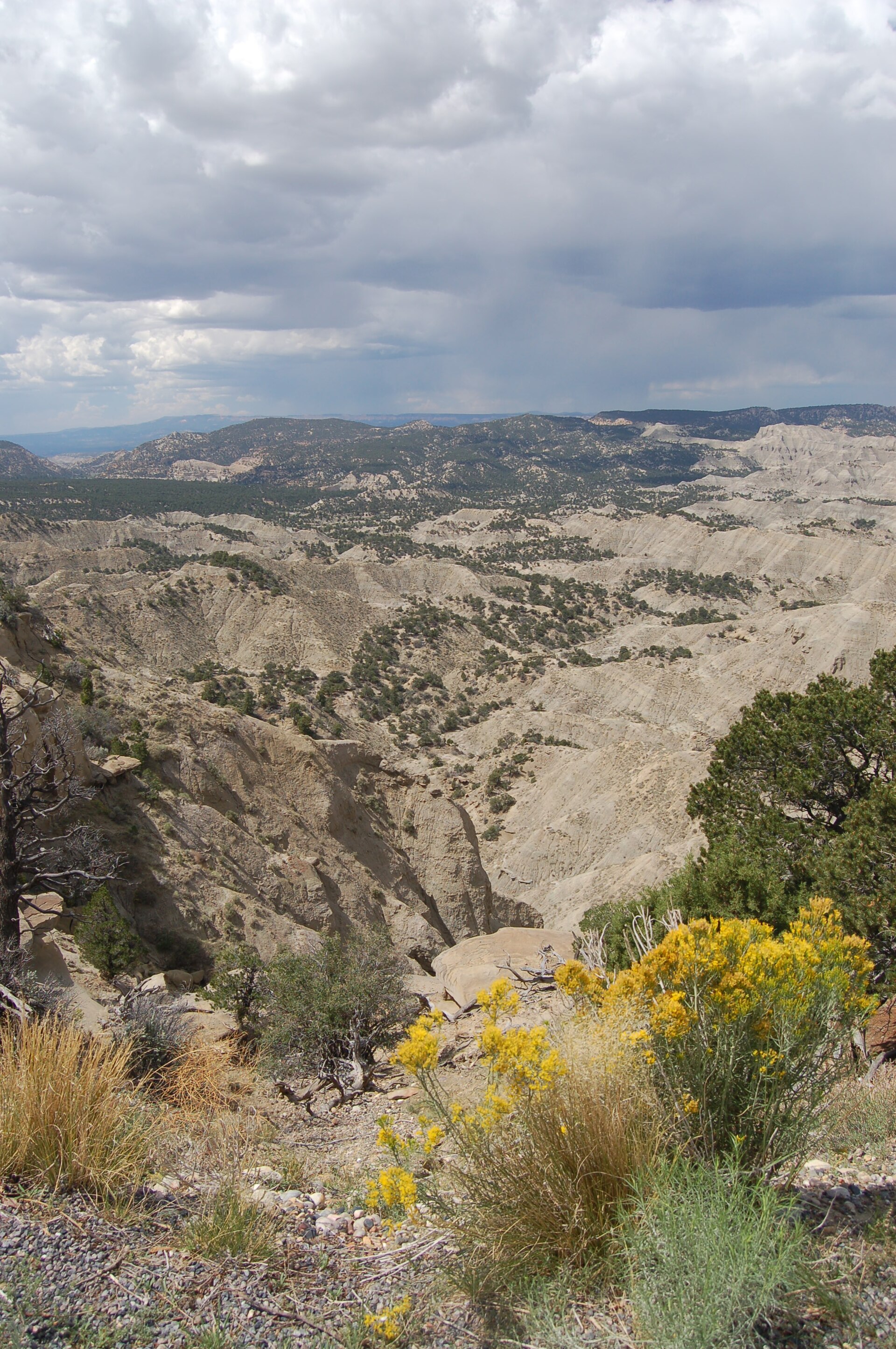 Tropic Shale badlands from The Blues Overlook