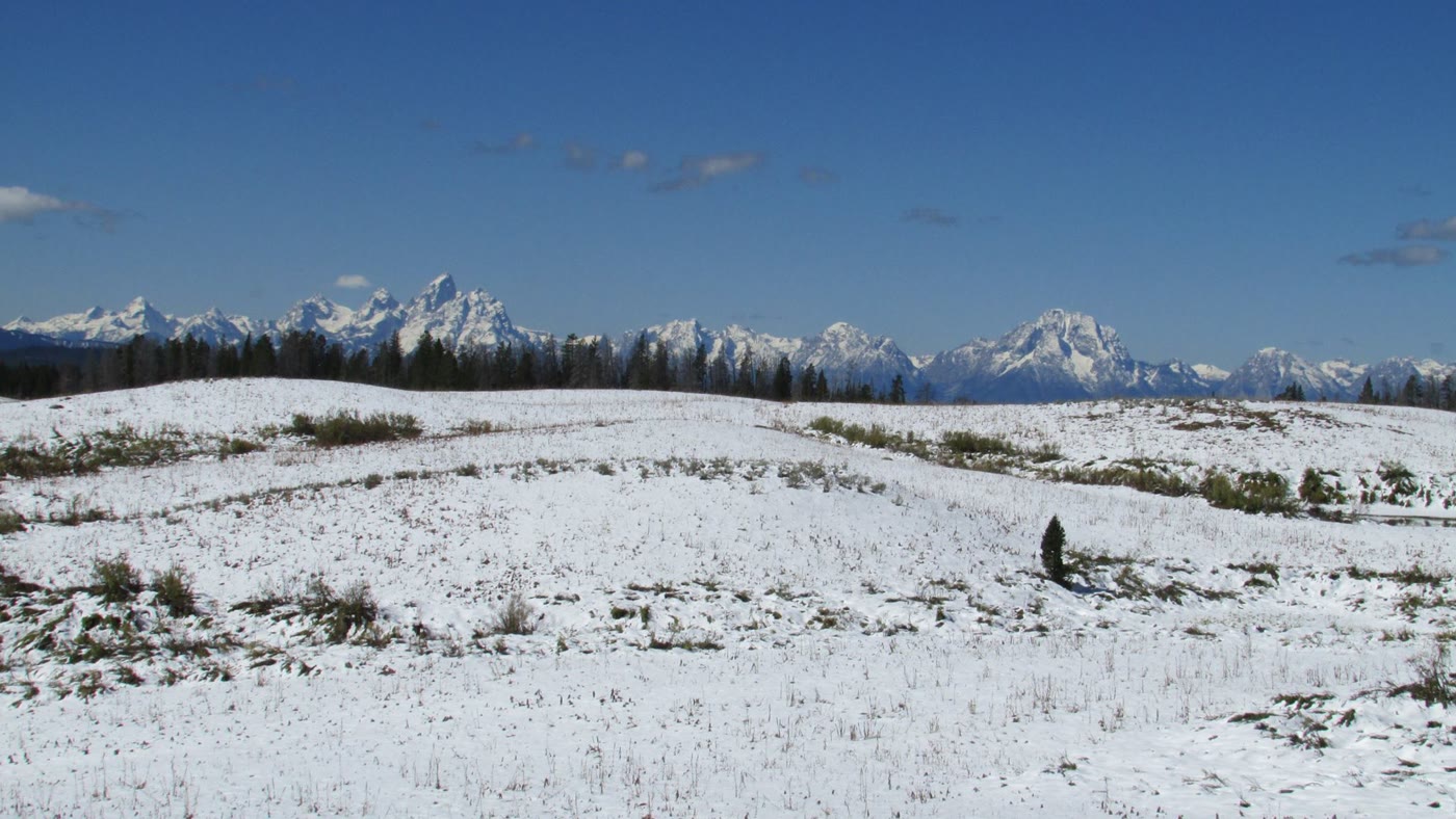 The Teton Range from Togwotee Pass