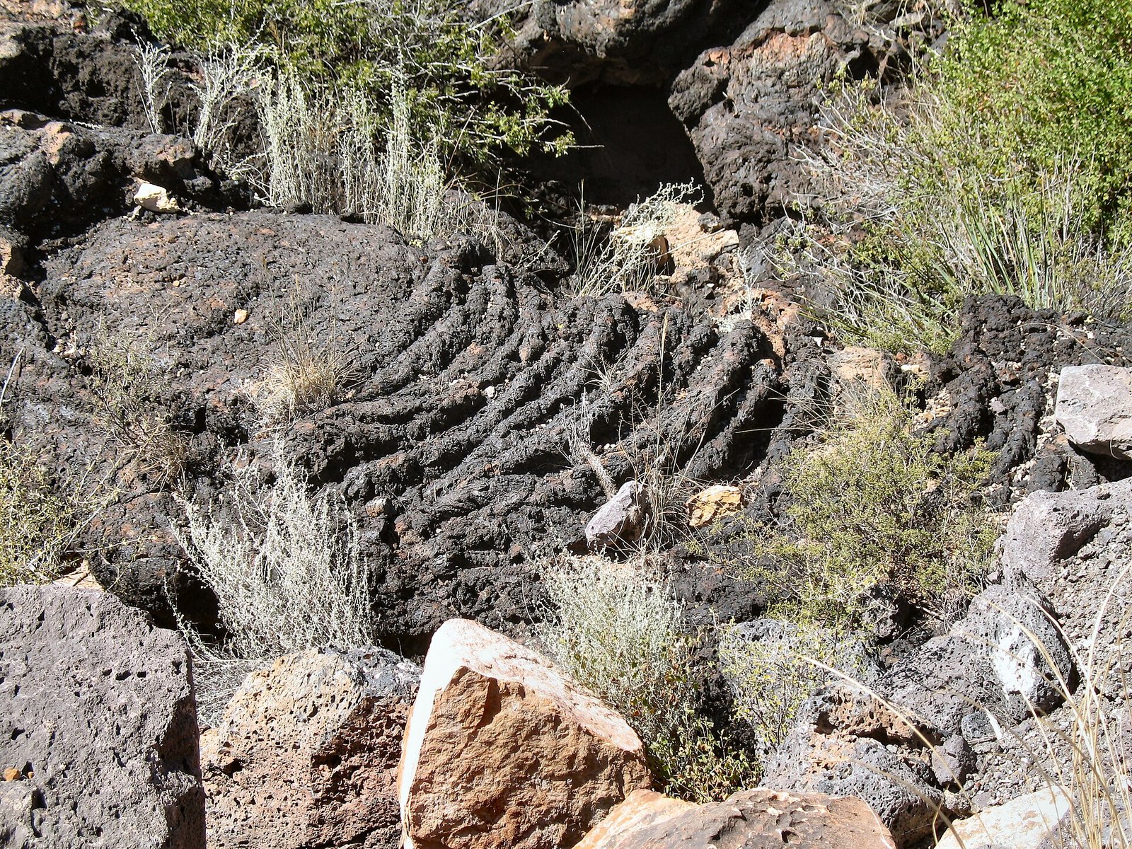 Valley of Fires, New Mexico