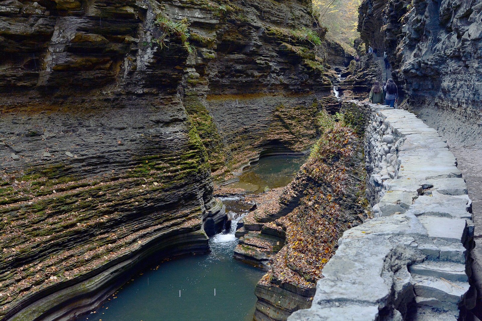 Looking up the gorge toward the next fall