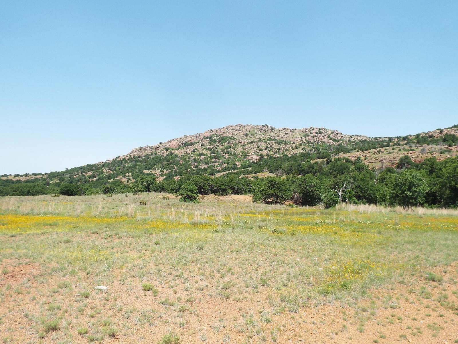 Granite hills and spring wildflowers, Wichita Mountains