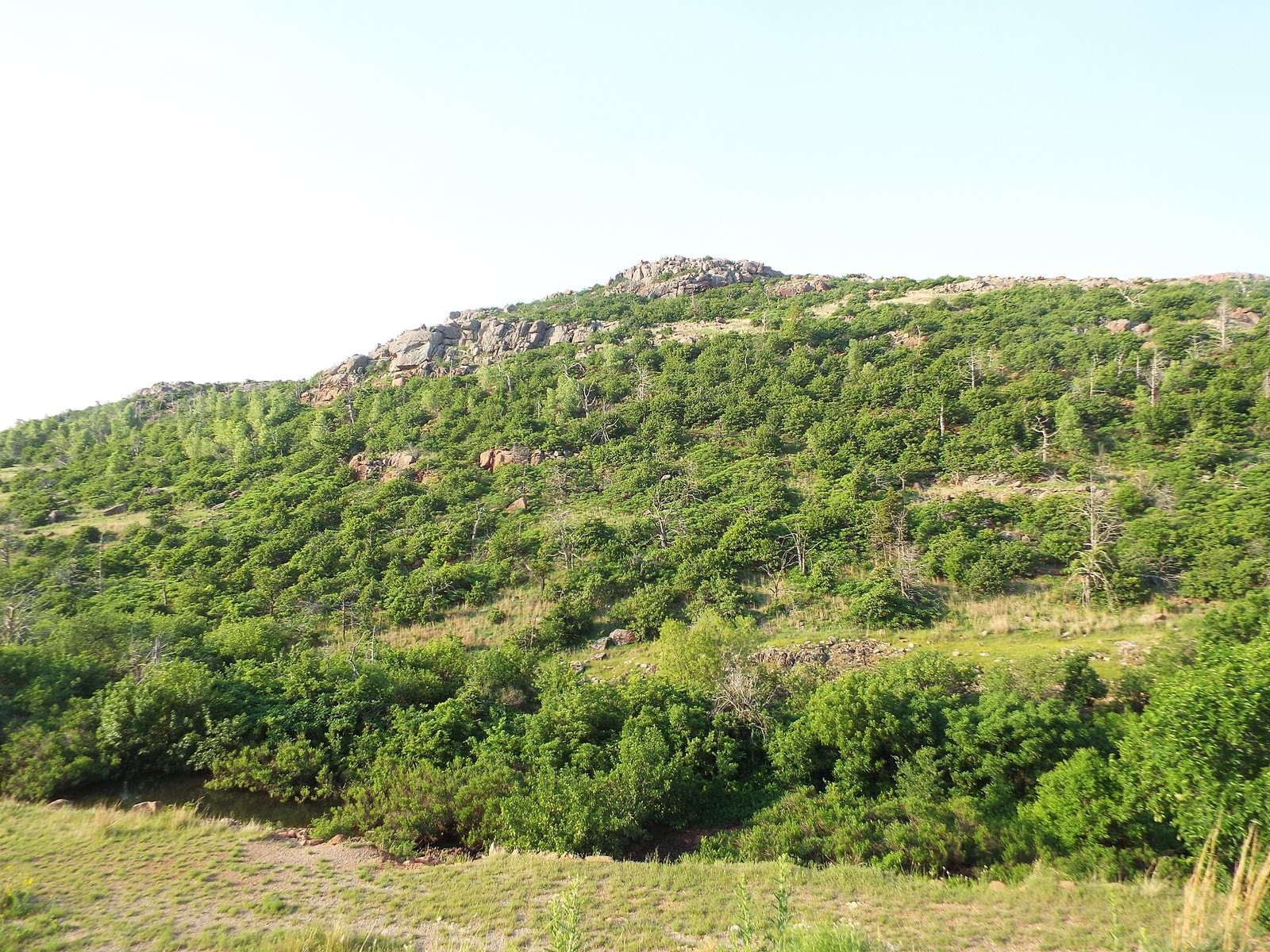 Rocky slopes above a green Wichita draw