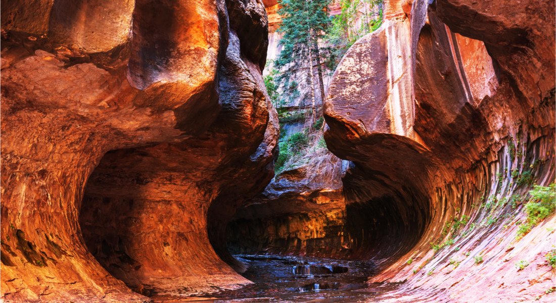 Sculpted walls in the upper Narrows